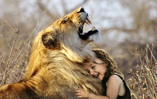 дівчинка та лев емоції довіра
